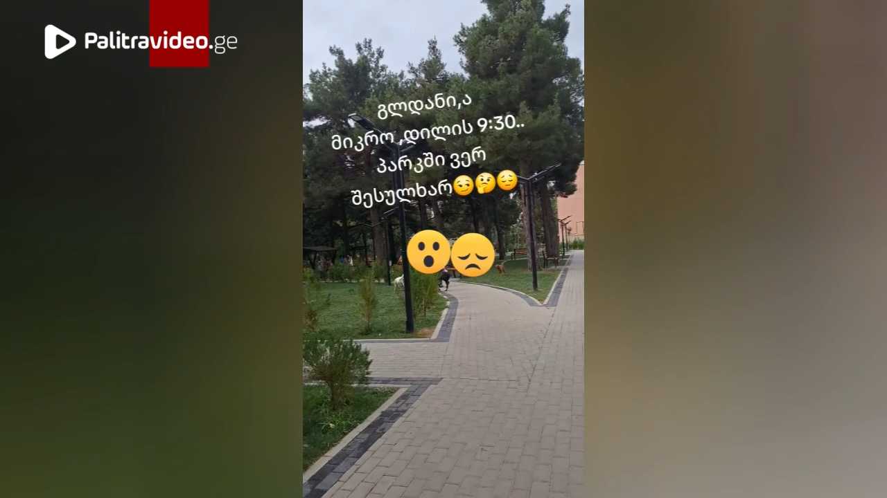 კადრები გლდანშია გადაღებული - რა მოხდა ერთ-ერთ სკვერში? -გავრცელებული ვიდეო განხილვის თემად იქცა